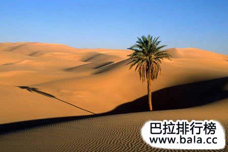 地球上十大最迷人的沙漠风景