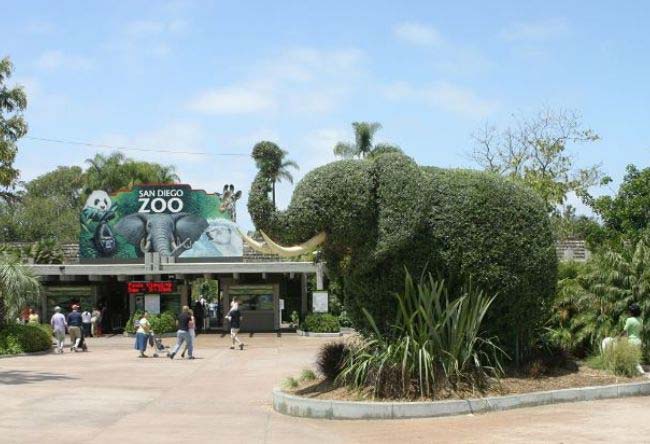 美國(guó)圣地亞哥動(dòng)物園