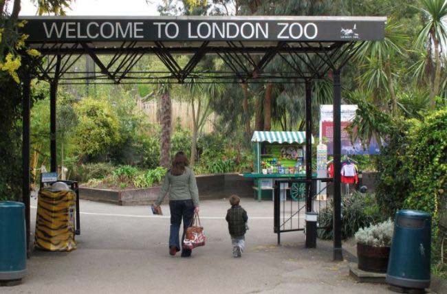 英國倫敦動物園