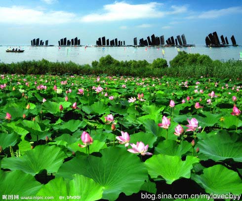 中国十大淡水湖