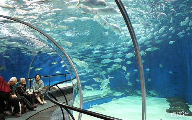 中国上海海洋水族馆