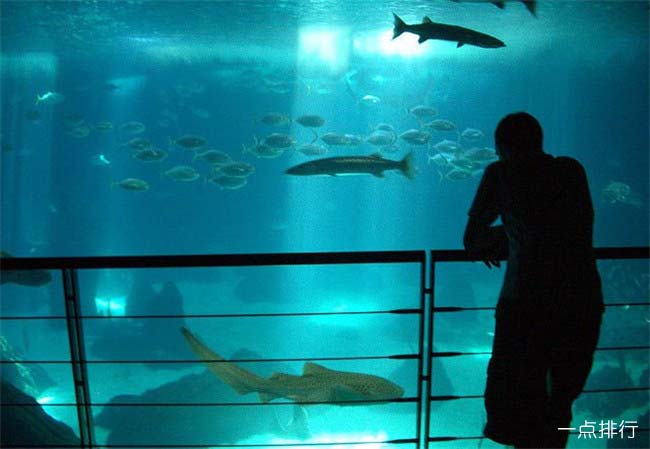  葡萄牙里斯本水族馆