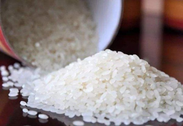 中国最贵大米排行榜，景阳大米8400元/斤