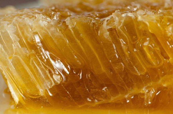 世界上最贵的蜂蜜，土耳其蜂蜜价格堪比黄金