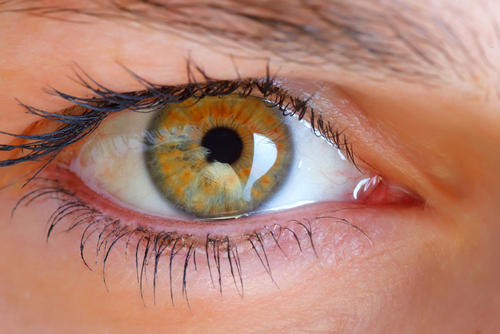 在世界上还有黄色瞳孔的存在,在美国有一位名叫莎拉.