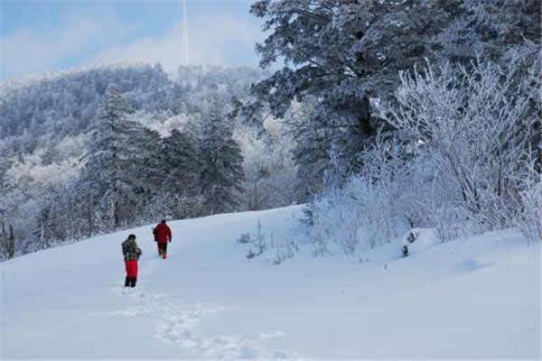 雷竞技RAYBET中国滑雪的地方哪里好？中国十大滑雪胜地(3)(图1)