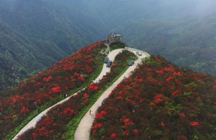 陽明山