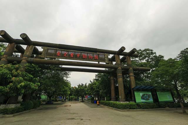 广州哪个动物园好玩？广东十大野生动物园