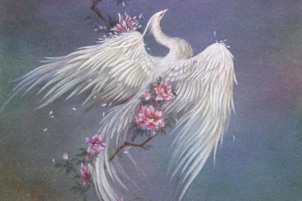 中国神话中十大上古神鸟，鲲鹏、凤凰位列榜首